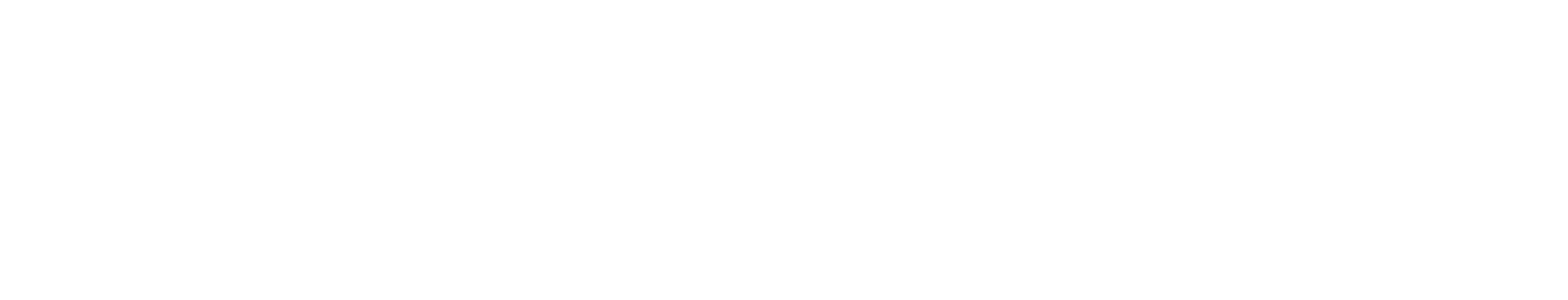 NextName Logo